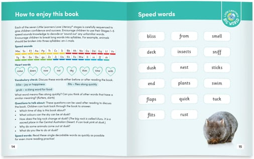 Stage 5 Speed Words